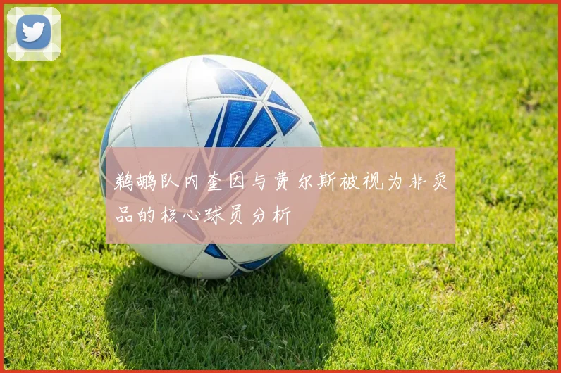 鹈鹕队内奎因与费尔斯被视为非卖品的核心球员分析