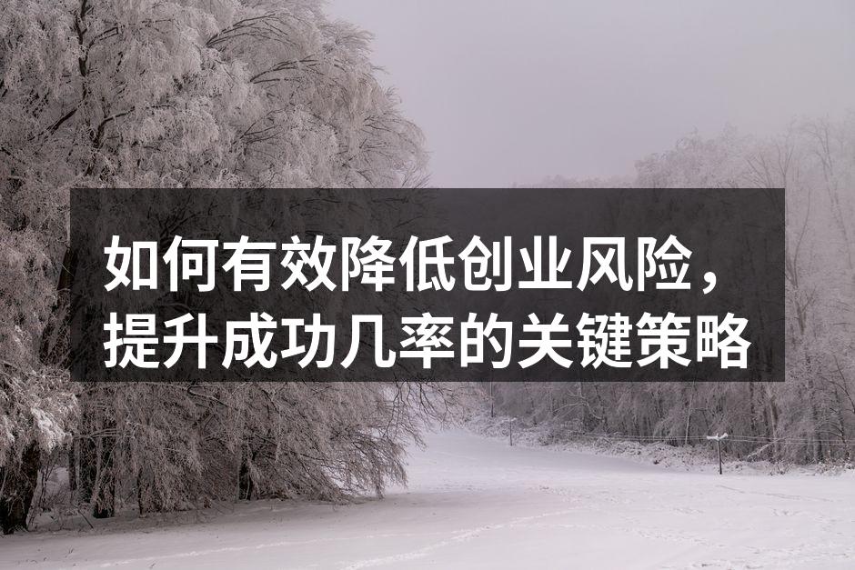 如何有效降低创业风险，提升成功几率的关键策略