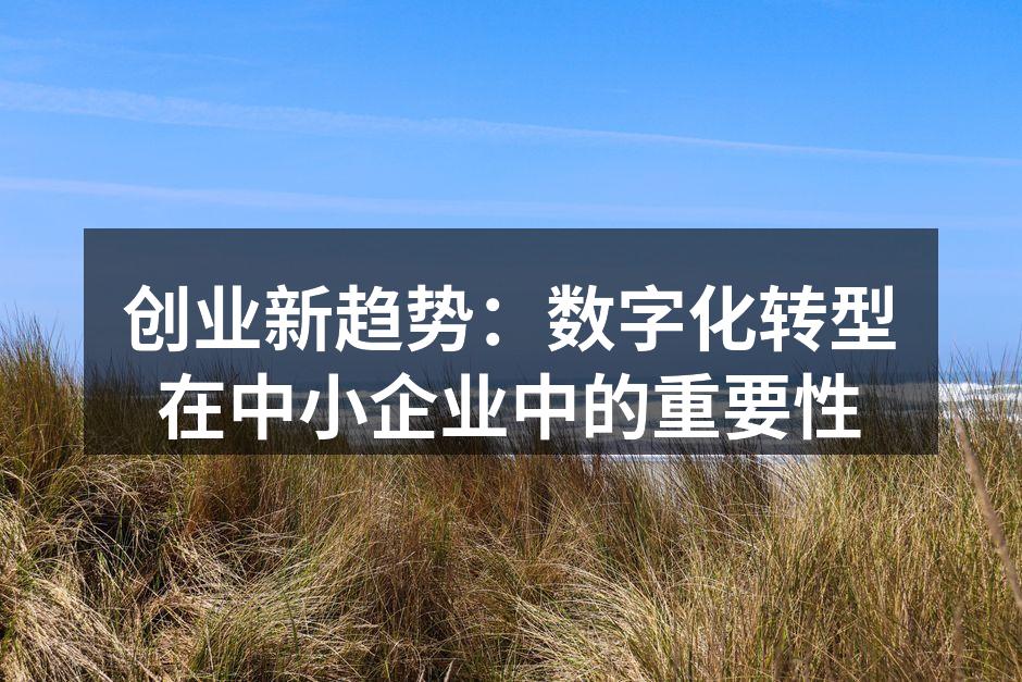 创业新趋势：数字化转型在中小企业中的重要性